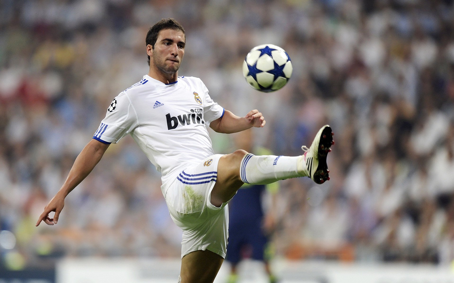 俱乐部社会责任报告发布 支持多项公益项目,俱乐部实施细则